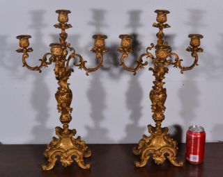 Pair Of Antique French Louis Xv Rococo Gilt Bronze Candelabra Candlesticks photo