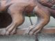 19c French Carved Walnut Griffin/dragon/gargoyle Crown Pediment/header Element Other photo 7