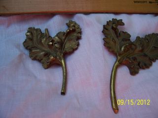 2 Antique Art Nouveau Cast Bronze Ormolu Furniture Decoration Appliques Ornate photo