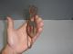 Antique Restaurant The Congress Bill File Metal Hooked Old Nr Bills Hook Metalware photo 4