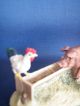 Lowell Davis Schmid / Border Fine Arts,  Rare Slim Pickins Figurine Pig & Rooster Figurines photo 7