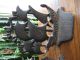 Antique Cast Iron Nautical Sailing Ship Bookends Metalware photo 5