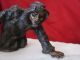 Antique Russian Bronze Statue Figurine Eskimo & Seal Marble Base Metalware photo 9