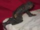 Antique Russian Bronze Statue Figurine Eskimo & Seal Marble Base Metalware photo 6