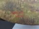 1896 Hand Painted & Signed R.  Smith Metal Tin Art Wall Plaque Metalware photo 5
