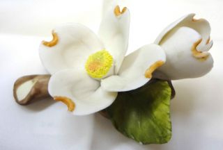 Dogwood Flower Figurene,  Vintage,  White With Greenery Mint Condition photo