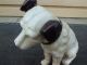 Ys: Cast Iron Nipper Dog Bank Metalware photo 2