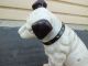 Ys: Cast Iron Nipper Dog Bank Metalware photo 5