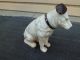 Ys: Cast Iron Nipper Dog Bank Metalware photo 7