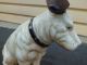 Ys: Cast Iron Nipper Dog Bank Metalware photo 8