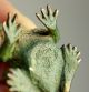 Authentic Cold Painted Vienna Bronze Miniature Frog,  Signed Metalware photo 4
