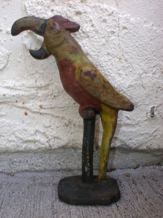 Antique Hubley Cast Iron Figurine Parrot Bottle Opener Paint photo