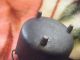Small Wrought Iron Black Pot/decor/dutch Oven Metalware photo 3