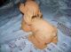 Antique Metal Brown Cocker Spaniel Dog Coin Bank Metalware photo 4