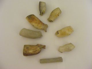 Group Of Seven Clay Pipe Bowls - 17th Century Onwards photo