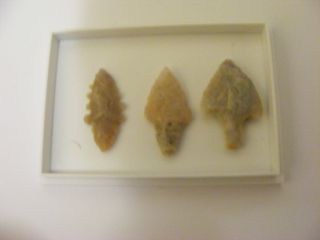 Set Of 3 Neolithic Arrowheads (12) - C3000 Bc photo