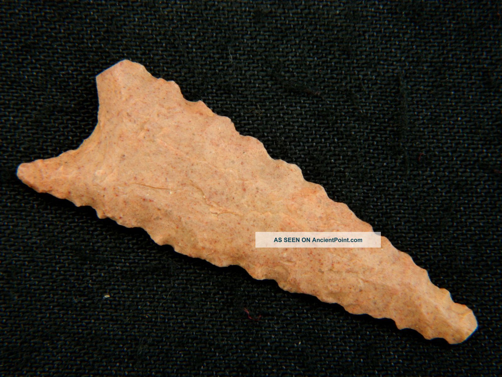 Neolithic Neolithique Felsite Arrowhead - 6500 To 2000 Before Present - Sahara Neolithic & Paleolithic photo