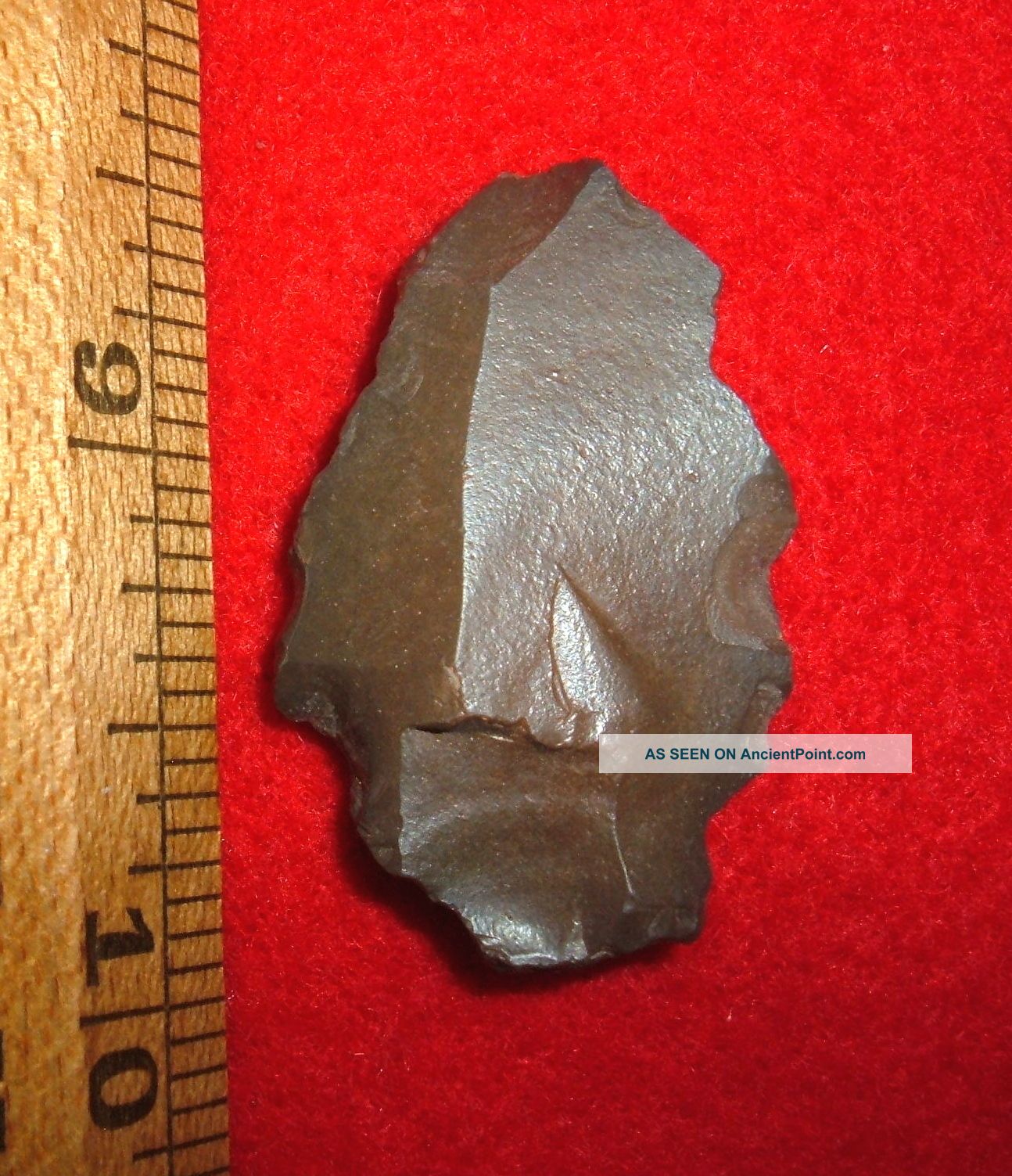 Aterian (neanderthal) Early Man Point,  Ancient African Arrowhead Aaca Neolithic & Paleolithic photo