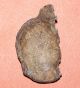 Roman Uncleaned Lead Mount (crested Helmet) - Metal Detecting Find British photo 1