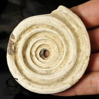 Ancient Ban Chiang Neolithic Bead Pendant Shell Disc 64.  88 G Thailand 500–300 Bc photo