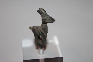Amcient Luristan Bronze Ibex Figure C.  800 Bc photo