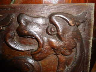 A Rare Gothic 17th Century Oak Carved Mythical Dragon Panel (n1) photo