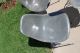Four Vintage Eames Shells Chairs Chair Elephant Hide Grey Gray Herman Miller Post-1950 photo 1