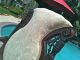 @@@antique Oversized Chair W/original Casters,  Carved Wood Gorgeous @@ Other photo 4