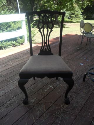 Chippendale Mahogany Side Chair Ball And Claw Feet Sturdy And Solid photo