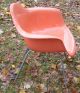 Mid Century Modern Signed Herman Miller Fiberglass Arm Shell Chair Eames Era Nr Post-1950 photo 3