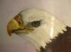Bald Eagle Hand - Painted Porcelain Umbrella Stand Painting Signed Hawley Hp Vase Post-1950 photo 9