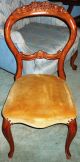 Elegant Carved Side Chair 1900-1950 photo 1