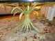 Shabby Mid Century Tole Palm Leaf Coffee Table With Glass Top Italy 1900-1950 photo 6