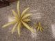 Shabby Mid Century Tole Palm Leaf Coffee Table With Glass Top Italy 1900-1950 photo 7