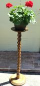 Antique Barley Twist Plant Candle Stand Solid Oak Thick 3 Inch Barley 1900-1950 photo 7