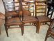 Antique Chippendale Ladder Back Country Dining Chairs Rush Seats Set 6 1900-1950 photo 2