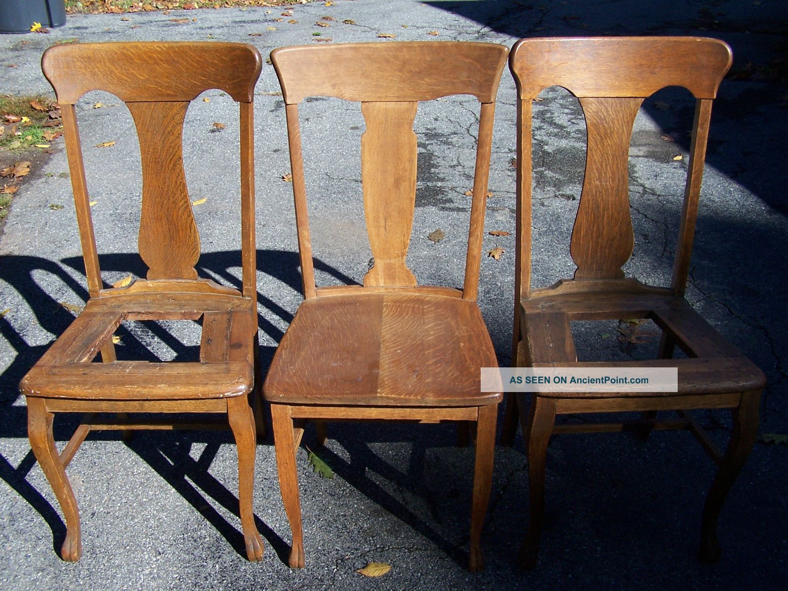 3 Early Century Quartersawn Oak T - Back Chairs With Claw Feet 1900-1950 photo