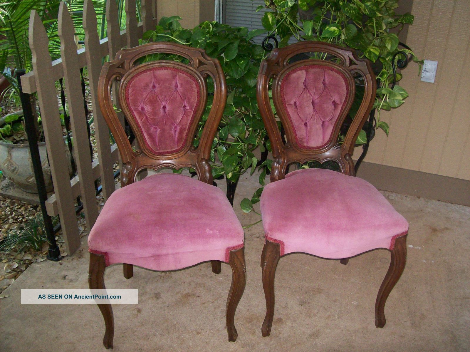 Pair Of Antique Walnut Chairs 1900-1950 photo