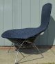 Mid - Century Modern Bertoia Bird Lounge Chair Vintage Knoll Eames Baughman Post-1950 photo 1