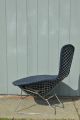 Mid - Century Modern Bertoia Bird Lounge Chair Vintage Knoll Eames Baughman Post-1950 photo 3