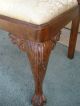 48557 Carved Mahogany Side Chair W/ Chippendale Foot Post-1950 photo 10