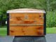 Antique Trunk Tray Outstanding Restoration Other photo 5
