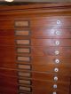 Antique Pine Artist ' S Tall Flat File 21 Drwr 1800 ' S All W/ Casters Art 1800-1899 photo 3