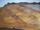 Vtg Baker Furniture Country French Parquet Coffee Table Post-1950 photo 8