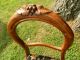 Gorgeous Antique Carved Balloon Back Chair W/glowing Natural Patina 1800-1899 photo 1