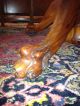 Antique Mahogany Dining Table Claw Foot 45 