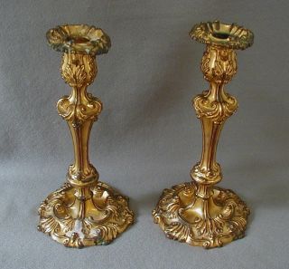 Very Fancy Antique French Gilt Bronze Rococco 11  Candlesticks photo