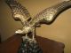 Antique Brass And Metal Eagle Metalware photo 1
