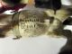 Antique Franz Bergman Geschutzt Bronze (rare 8917) Metalware photo 3