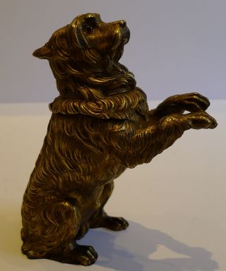 Antique English Gilded Brass Figural Inkwell - Dog With Glass Eyes photo